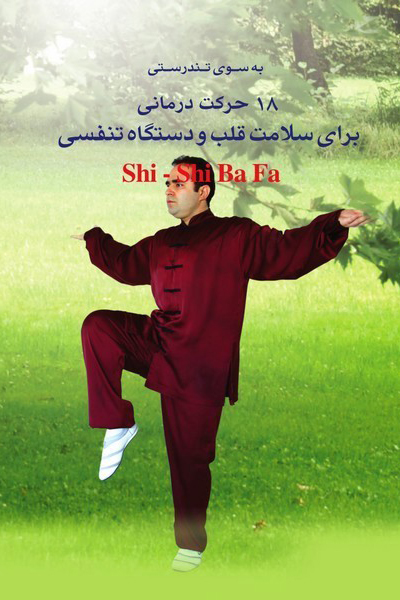 Shi - Shi Ba Fa